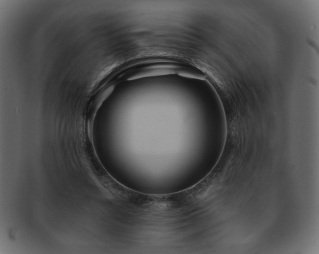 X0000093120352200709261332