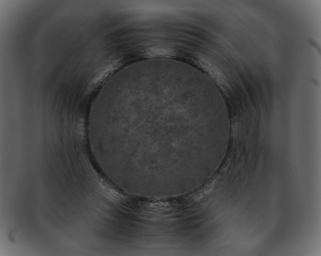 X0000093120353200709261332