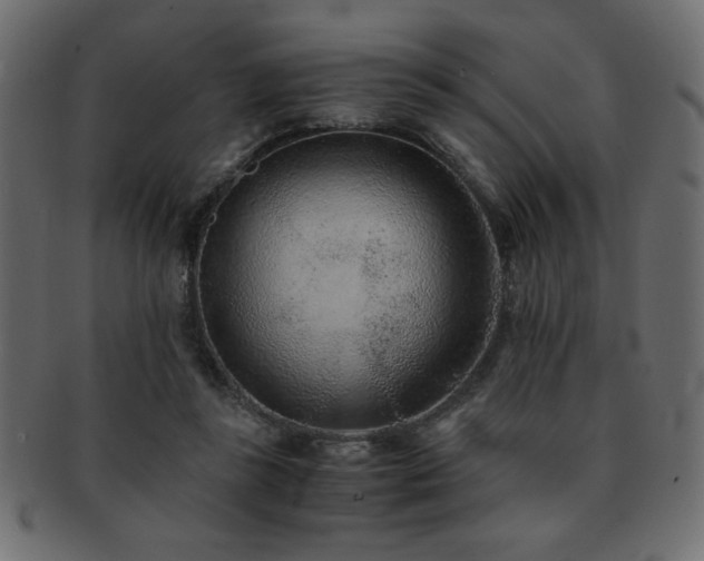 X0000093120355200709261332