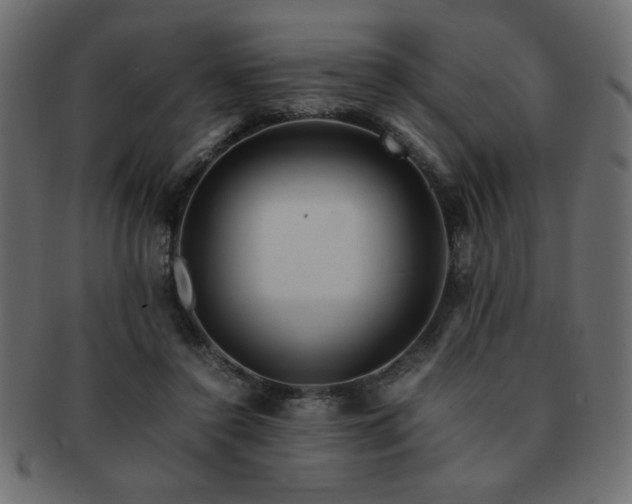 X0000093120356200709261332