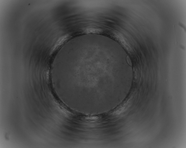 X0000093120357200709261332