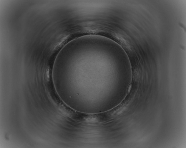 X0000093120358200709261332