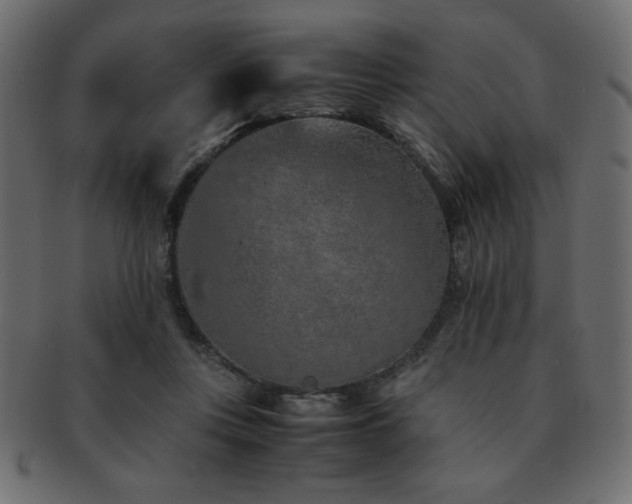 X0000093120359200709261332