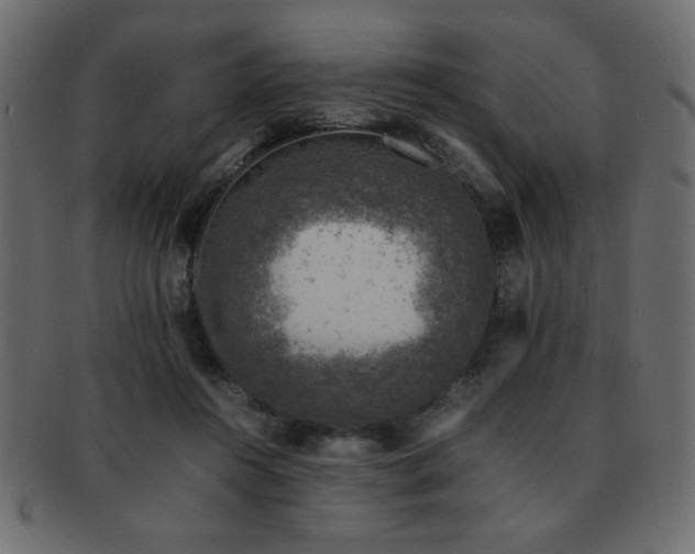 X0000093120360200709261332