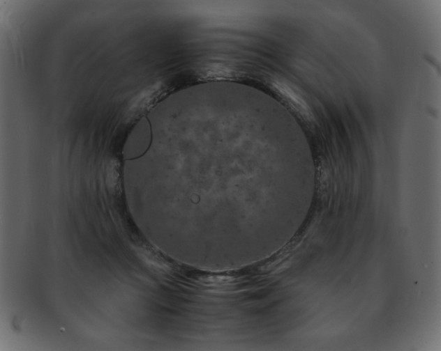X0000093120361200709261332