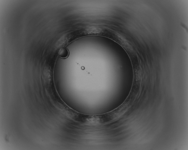 X0000093120362200709261332