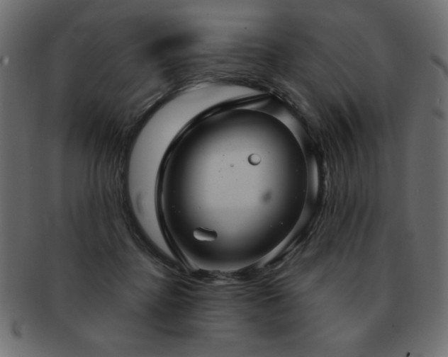 X0000093120364200709261332