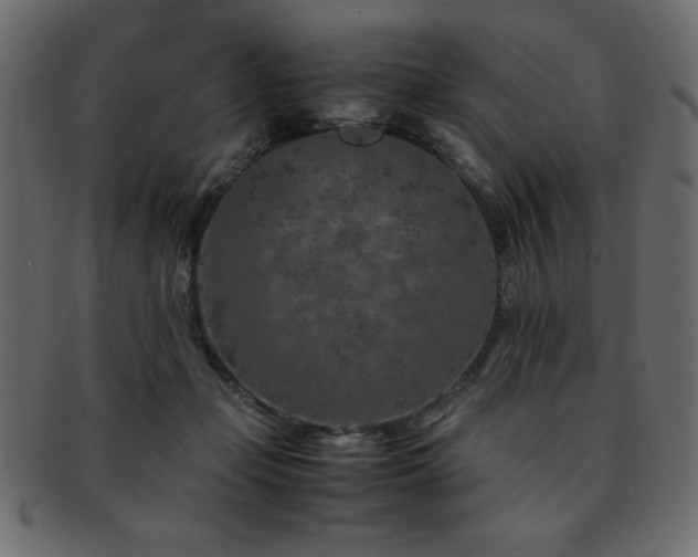 X0000093120365200709261332