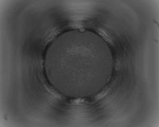 X0000093120366200709261332