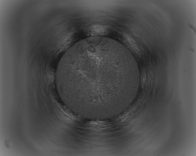 X0000093120367200709261333