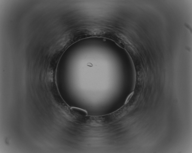 X0000093120368200709261333