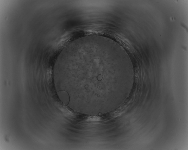 X0000093120369200709261333