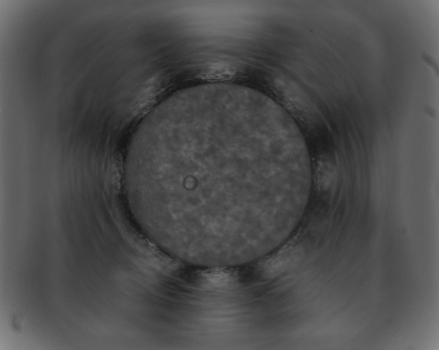 X0000093120370200709261333