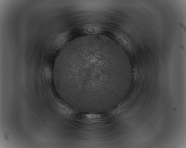 X0000093120371200709261333