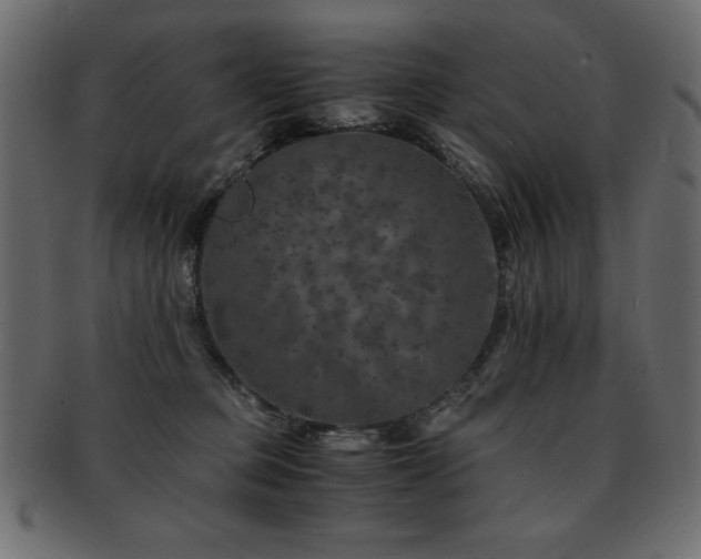 X0000093120373200709261333