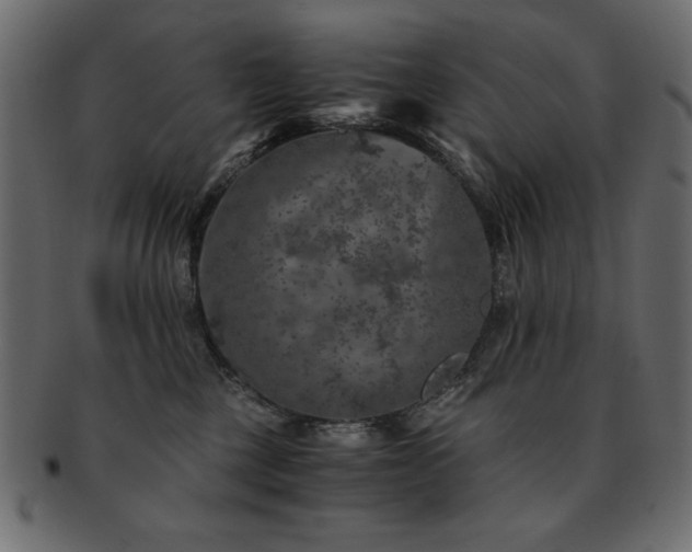 X0000093120377200709261333