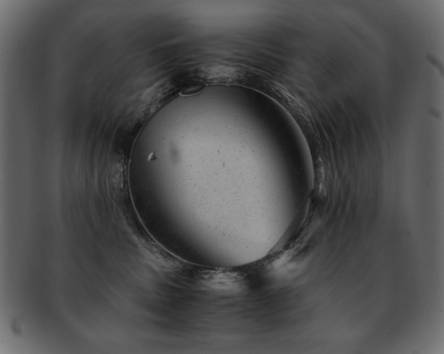 X0000093120379200709261333