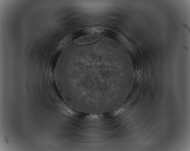 X0000093120381200709261333