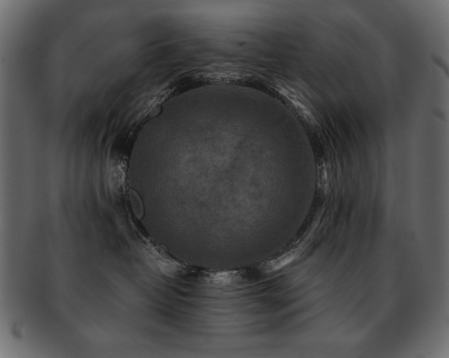 X0000093120382200709261333