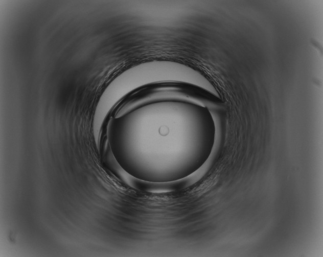 X0000093120384200709261333