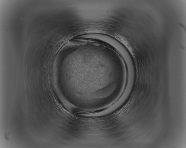 X0000093120385200709261332