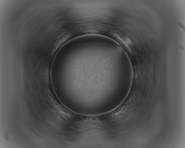X0000093120386200709261332