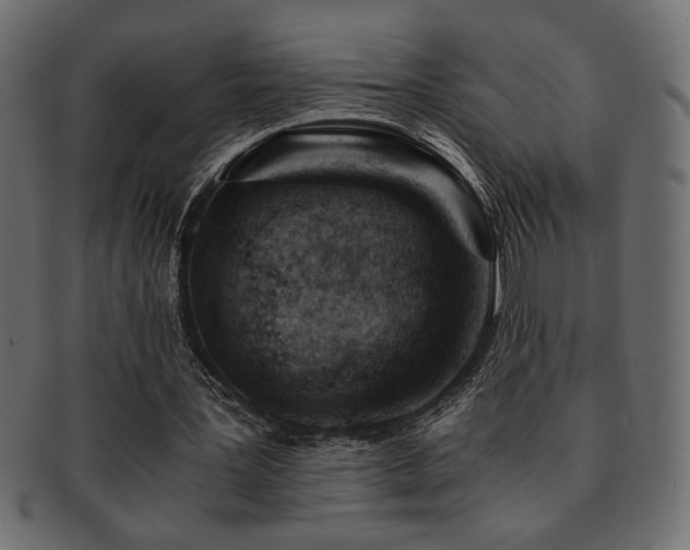 X0000093120387200709261332