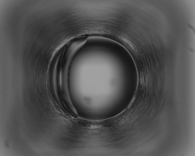 X0000093120388200709261332