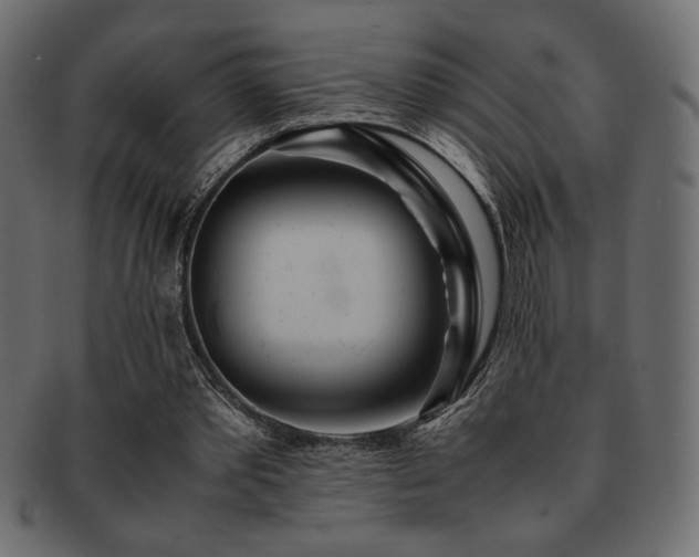 X0000093120389200709261332