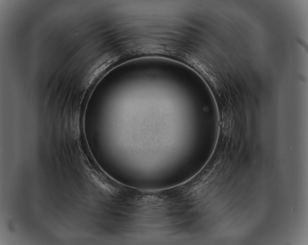 X0000093120390200709261332