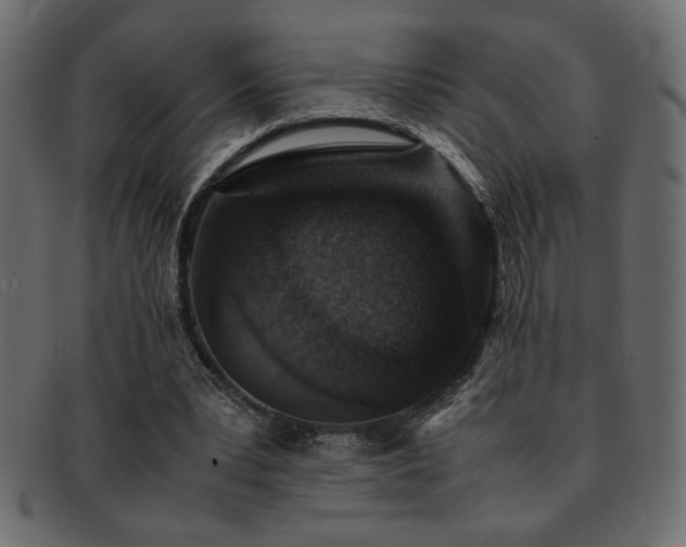 X0000093120391200709261332
