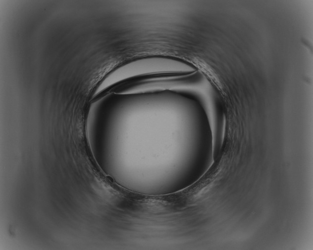 X0000093120393200709261332