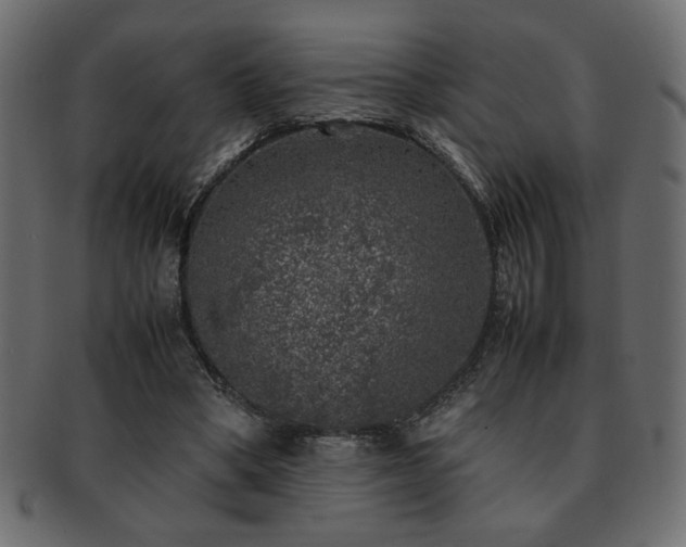 X0000093120394200709261332