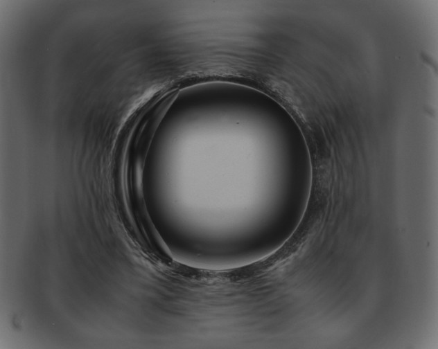 X0000093120395200709261332