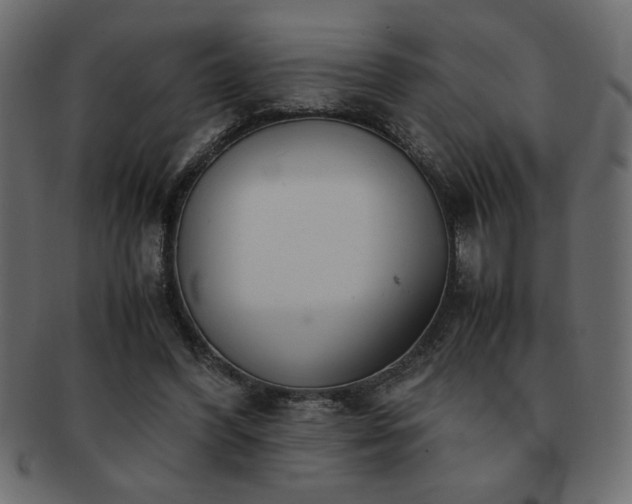 X0000093120396200709261332