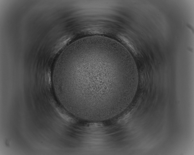 X0000093120398200709261332