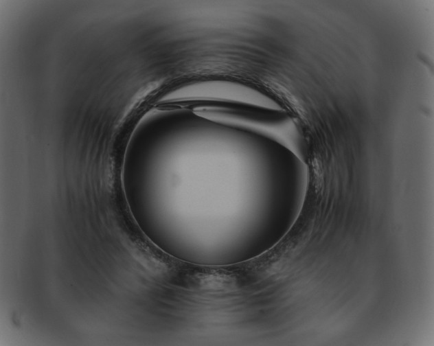 X0000093120400200709261332