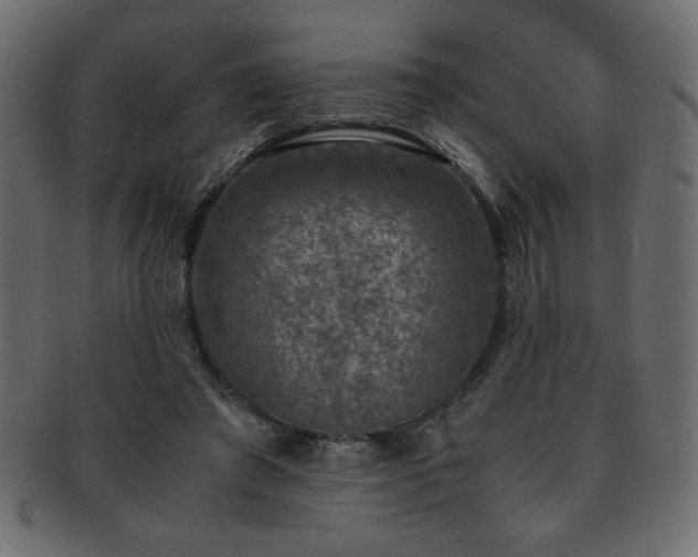X0000093120401200709261332