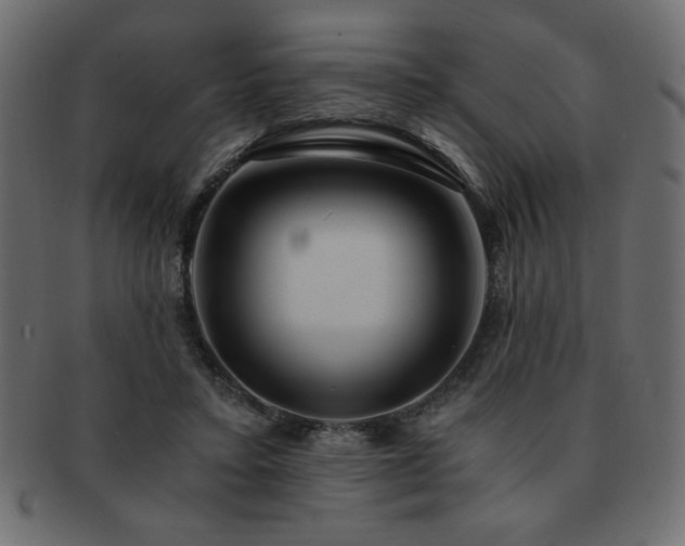 X0000093120403200709261332