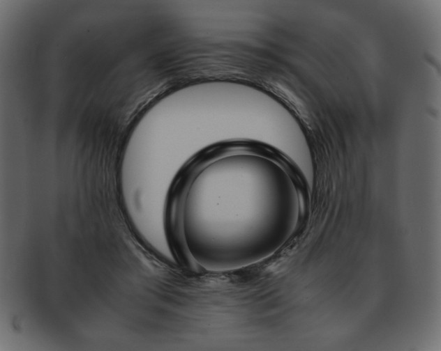 X0000093120405200709261332