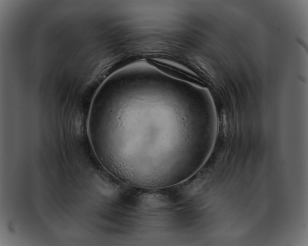 X0000093120408200709261332
