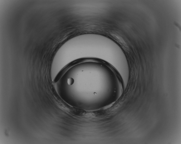 X0000093120409200709261332