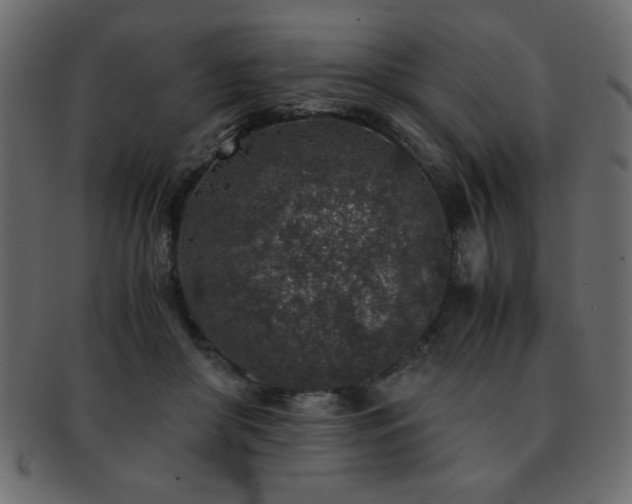 X0000093120410200709261332