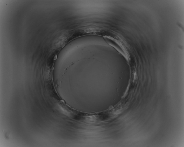 X0000093120411200709261332