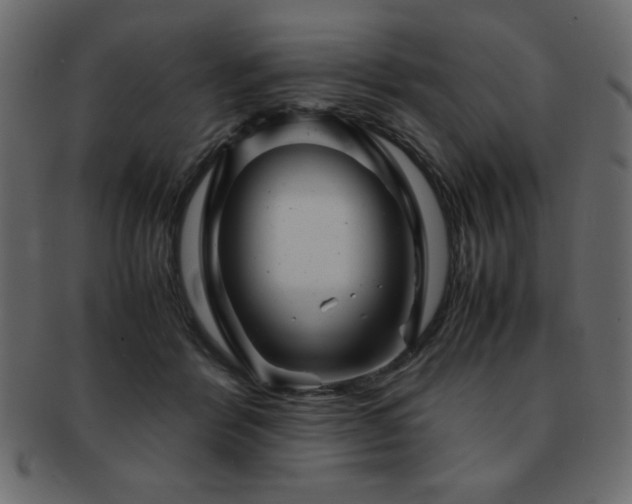 X0000093120412200709261332