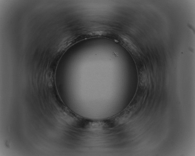 X0000093120414200709261332