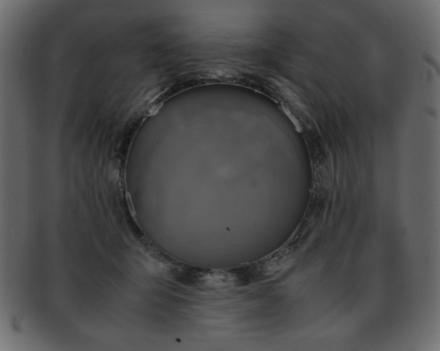 X0000093120415200709261332