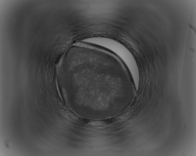 X0000093120417200709261332