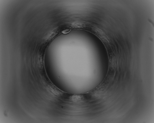 X0000093120418200709261332