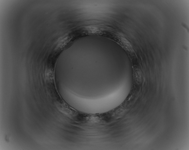X0000093120419200709261332